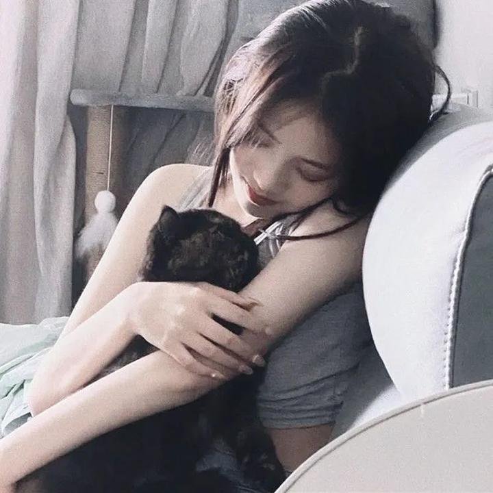 行窃大师