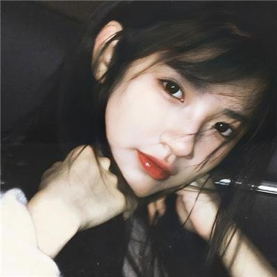 梅花档案